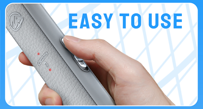 Electric Fly Swatter