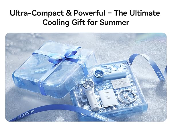 gift fan