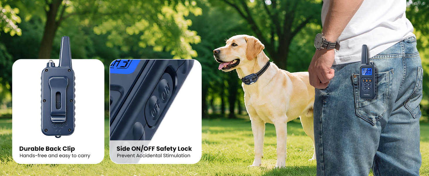 Safety Lock & Back Clip