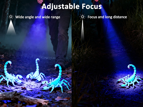 365nm uv flashlight