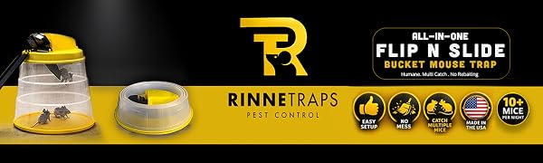 Logo + Product