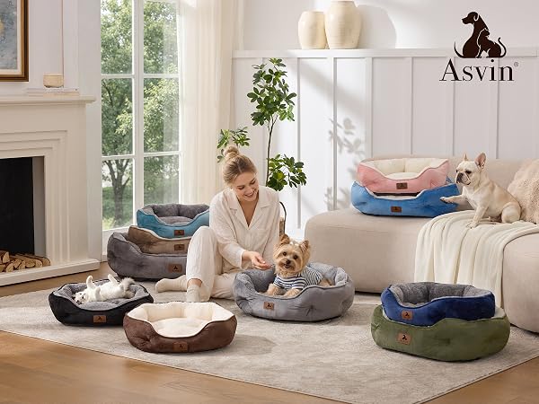 cat bed