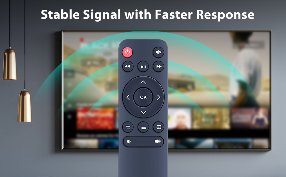 vankyo projector remote