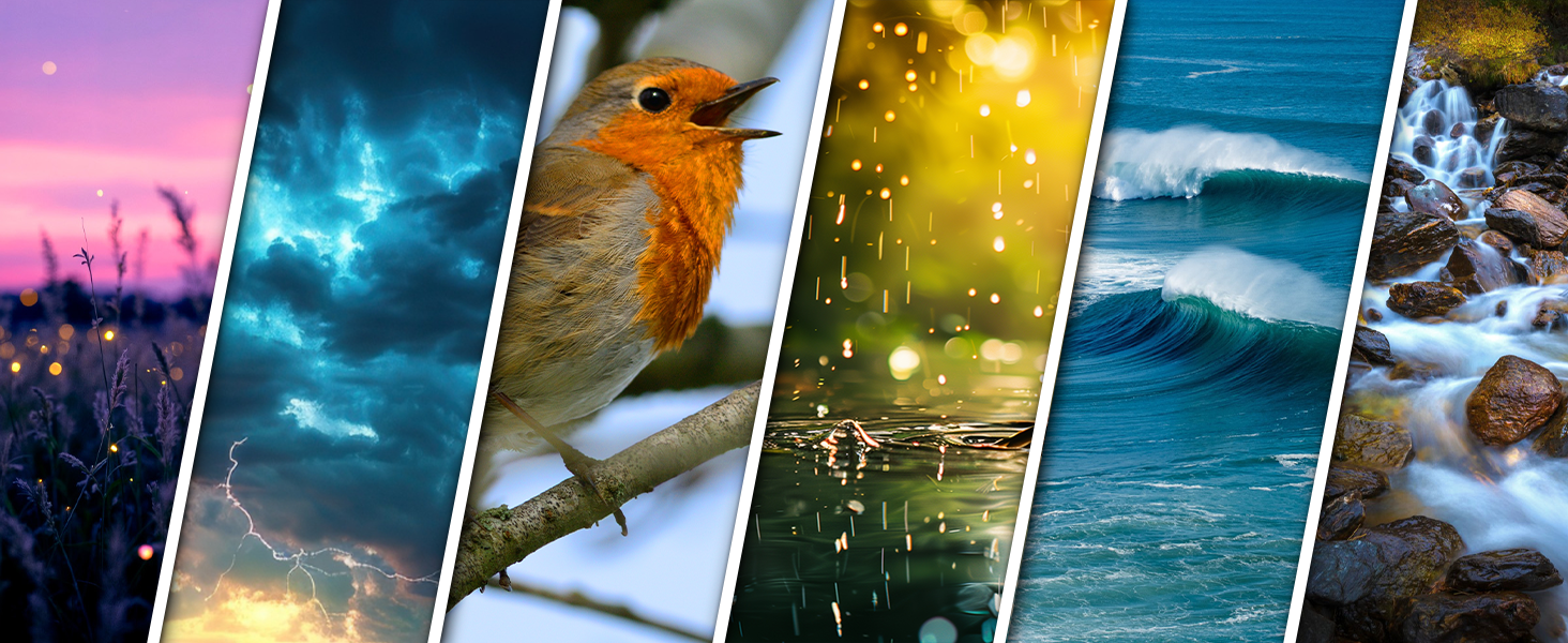 Soothing Sleep Sounds, Auto-Off Timer Rain, Thunder, Nature, Birds, Ocean Waves, Brook sleep timer