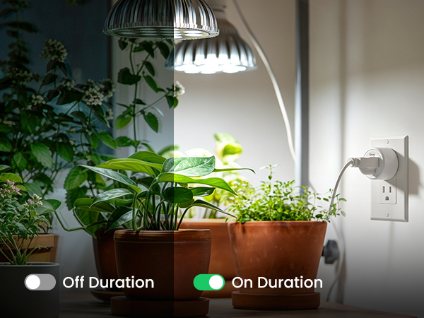 wifi timer outlet