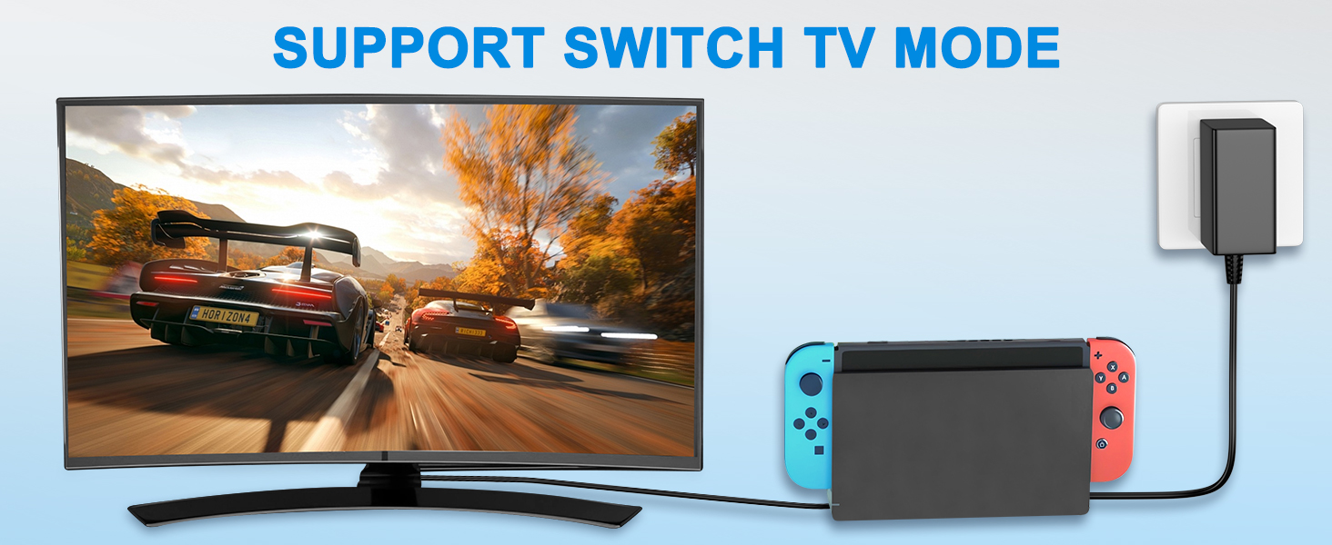 Nintendo Switch charger cable