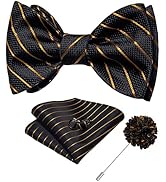 DiBanGu Paisley Bow Ties for Men Silk Self Tied Bowtie and Pocket Square Cufflinks with Lapel Pin...