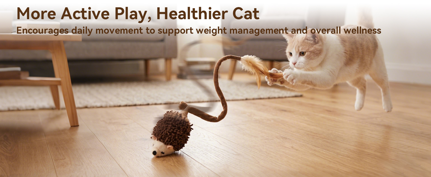 cat toy interactive hedgehog