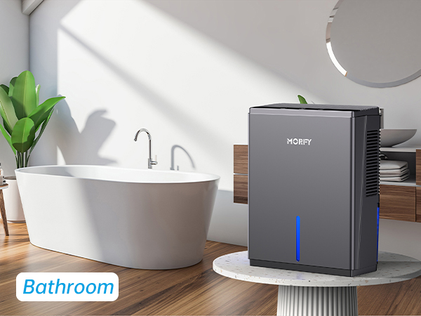 dehumidifier for bathroom
