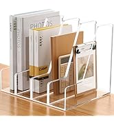 SANRUI 4 Pack Vertical File Holder, Acrylic Desk Organizer Magazine File Sorter for Magazines, Bi...