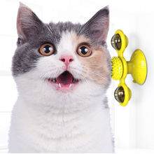 cat toys