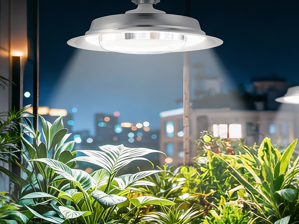 Growing Light for Plants