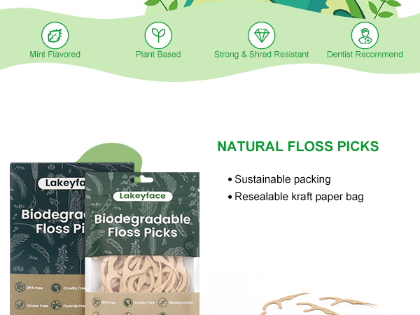 dental floss pick