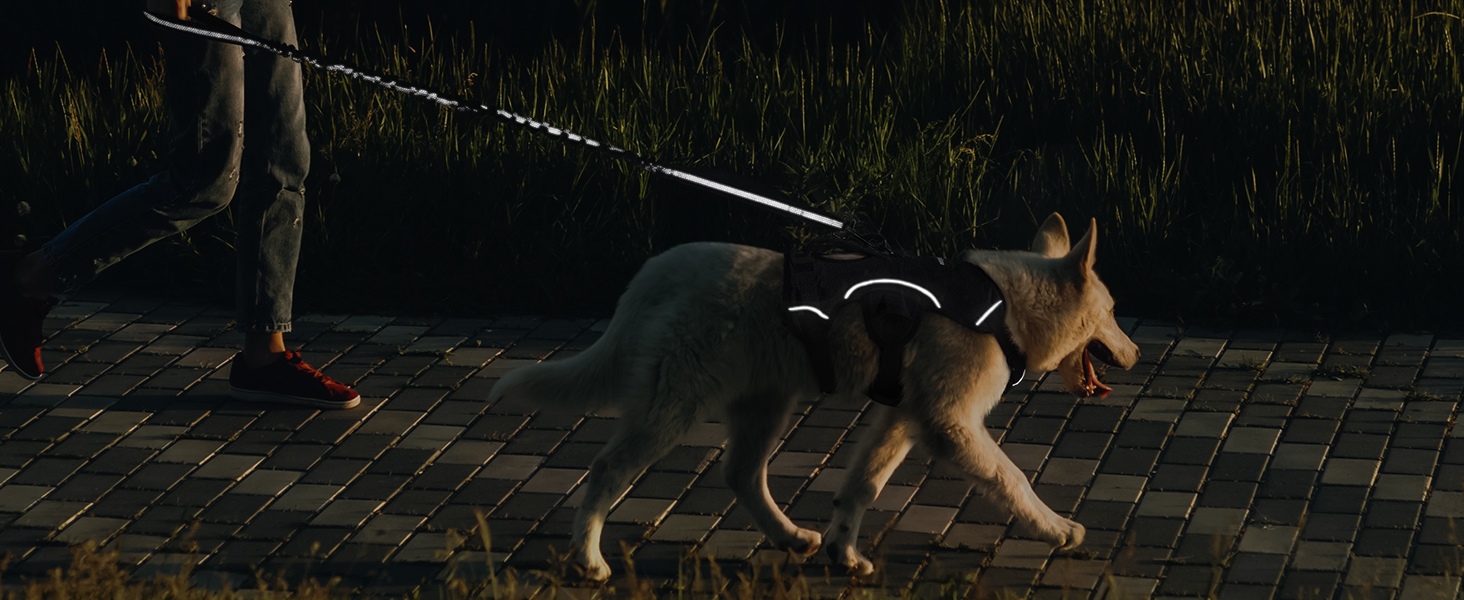 a dog wearing a harness on a sidewalk