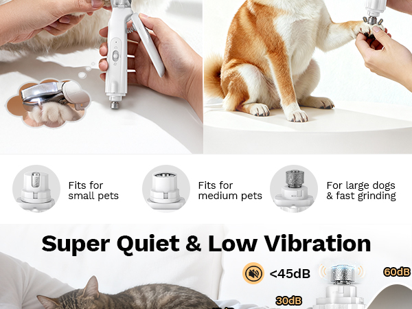 cat clippers