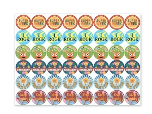 Reward Chart System