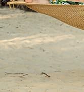 rope hammock