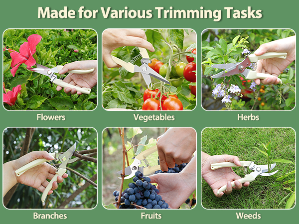 garden shears