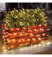 Lomotech Christmas Net Lights, 6ft x 4ft 150 Count Incandescent Mesh Lights, Connectable UL Certi...