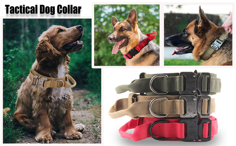 Premium Dog Collar - Adjustable Heavy Duty Nylon Collar with Quick-Release Metal Buckle