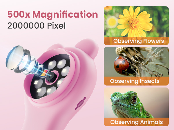 Vorth Microscope for Kids