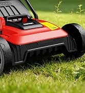 14 Inch Dethatcher & Scarifier