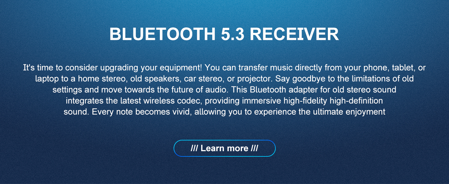 Bluetooth 5.3 Audio Receiver