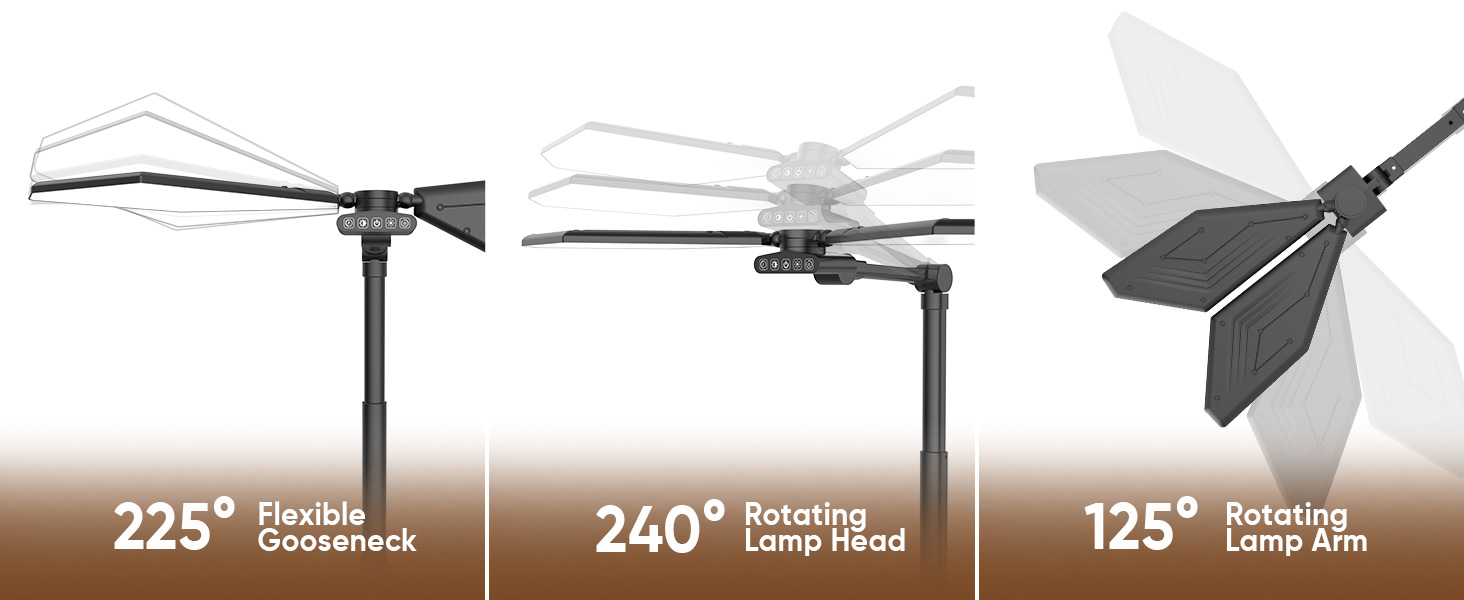 Desk lamp with clamp
