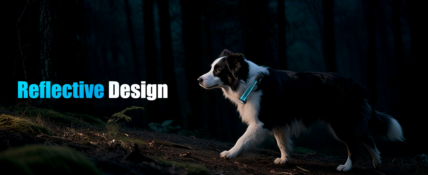 reflective dog collar