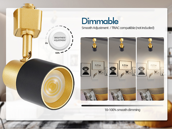 dimmable track lighting heads