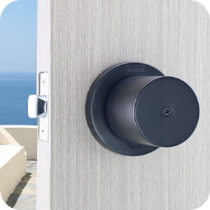 iulock iu-20 black interior