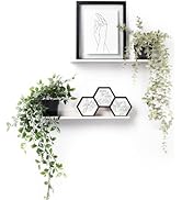 xympo 16" Metal Picture Ledge, Wall Mounted Floating Shelf - White (Set of 2)