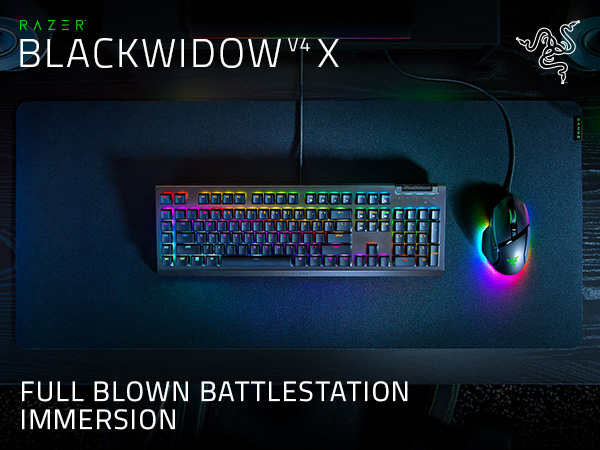 BlackWidow V4