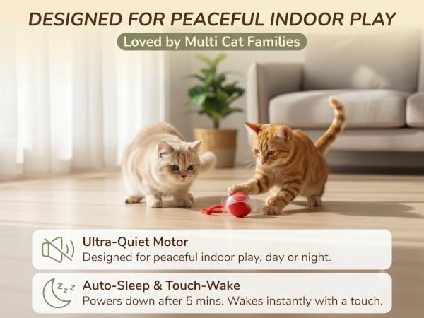 Moving cat toys for indoor cats and cat interactive toys rechargeable rolling ball toy pet.