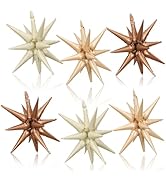 Nude Cream Beige Star Balloons, 22 Inch Apricot Brown Tan Foil Explosion star Balloon, Large Spik...