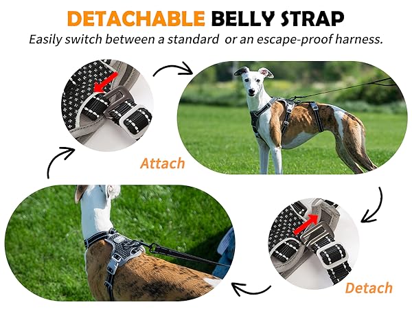escape proof dog harness