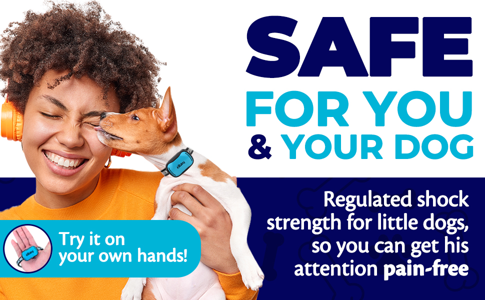Safe for you & your dog