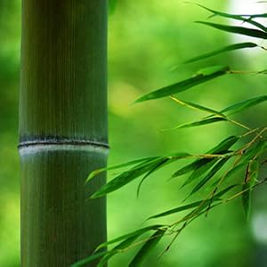 chopsticks are made of premium bamboo