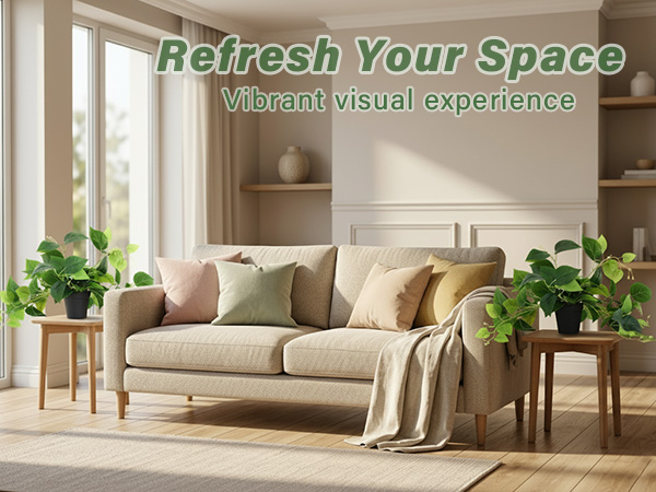Refresh Your Space