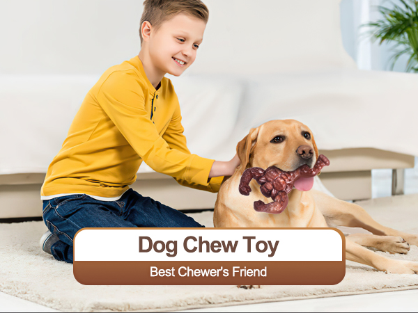 dog chew toys