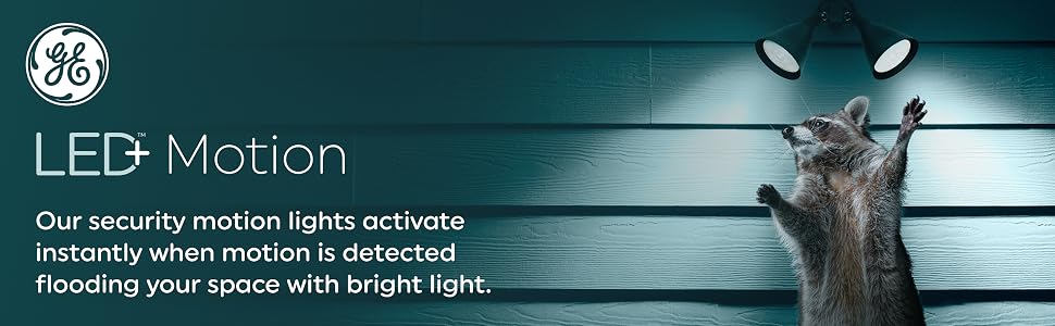 LED+ Motion