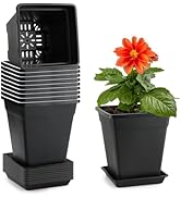 6 inch Plant Pots, 10 Pack Flower Pots Outdoor Indoor, Square Plastic Planter with Drainage Holes...
