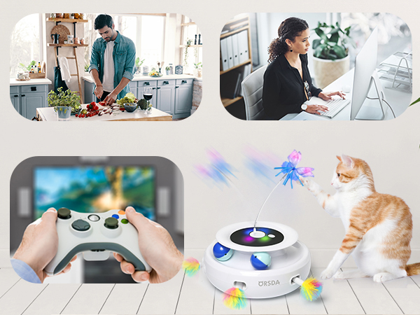 Interactive Cat Toys for Indoor