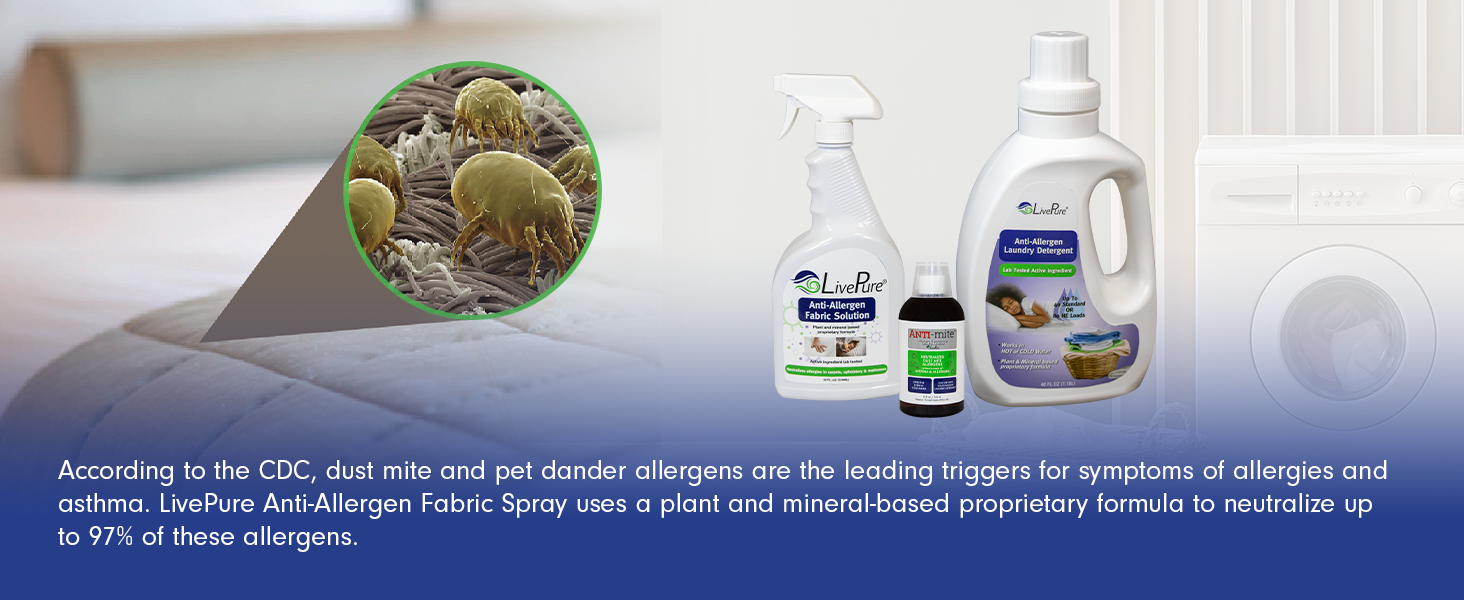 Live Pure Anti-Allergen Supplies Premium A+