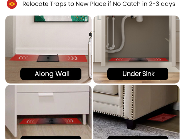 Wowcatch Mouse Glue Traps