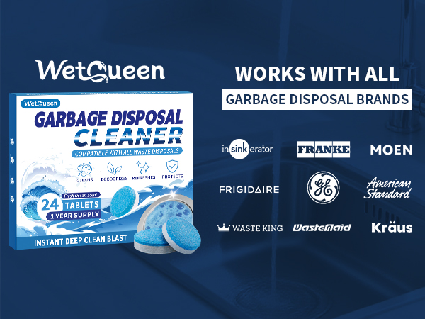 sink disposal cleaner