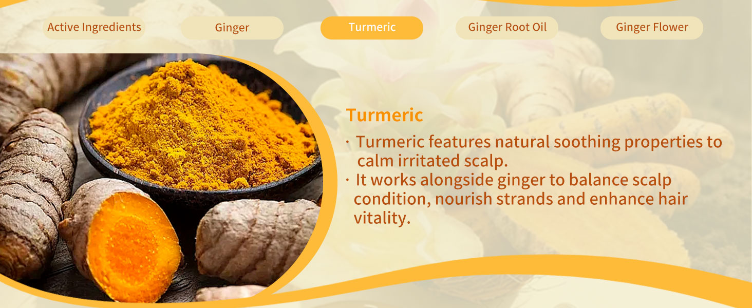hair growth shampoo bar ginger native shampoo herbal essences shampoo travel shampoo for oily hair