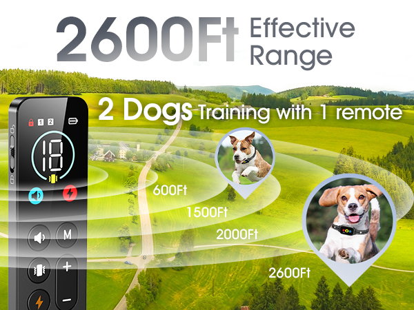 dog shock collar