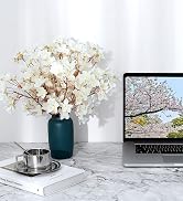 cherry blossom branches ivory white