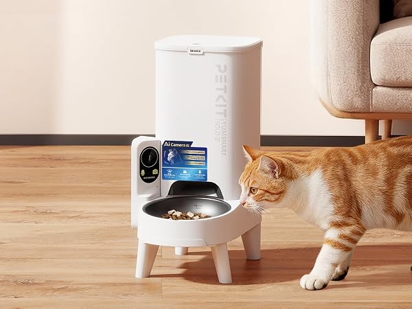 cat feeder